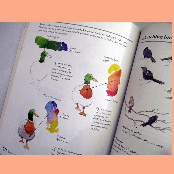 Book - You Can Paint Watercolors: A Step-By-Step Guide for Absolute Beginners - Picture 4 of 15